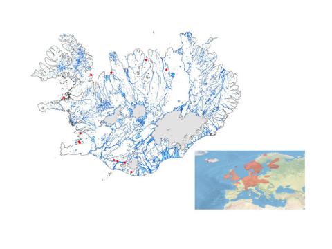 Útbreiðsla bjarnarklóar