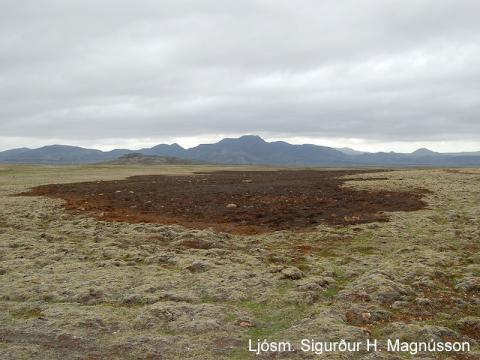 Nyrsti hluti brunasvæðisins