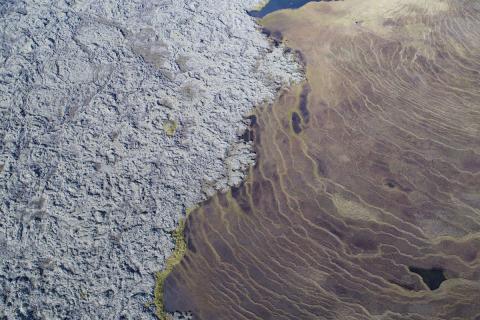 Á mótum Skaftáreldahrauns og mýra vestan Hellisár