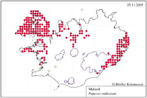 Útbreiðsla melasólar (nóvember 2005).