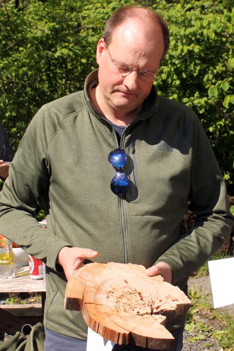 Ólafur Eggertsson sérfræðingur hjá Skógræktinni segir frá aldri og uppruna viðarnýra