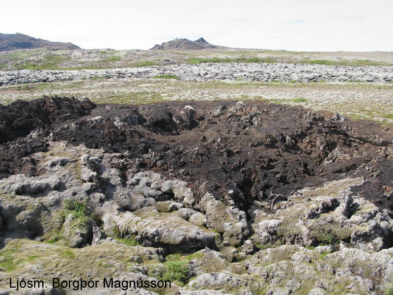 Mosaþemban á hrauninu er illa farin eftir eldinn og víða brunnin niður í grjót.