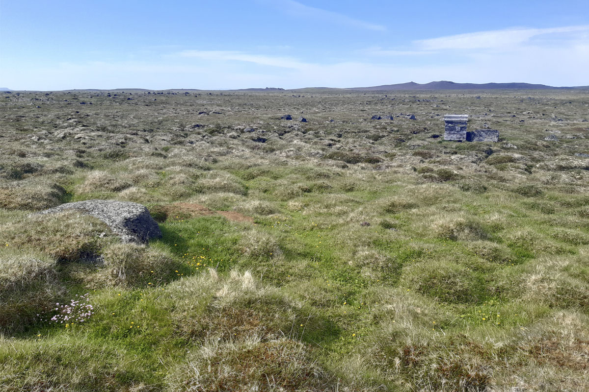 Fæðuleifar á refagrenjum rannsakaðar á Melrakkasléttu