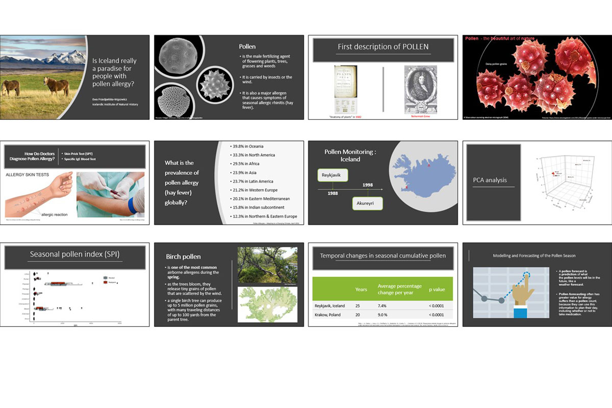 Úr fyrirlestri Ewu Wasowicz, Is Iceland a paradise for people with pollen allergies?, á Hrafnaþingi 16. desember 2020