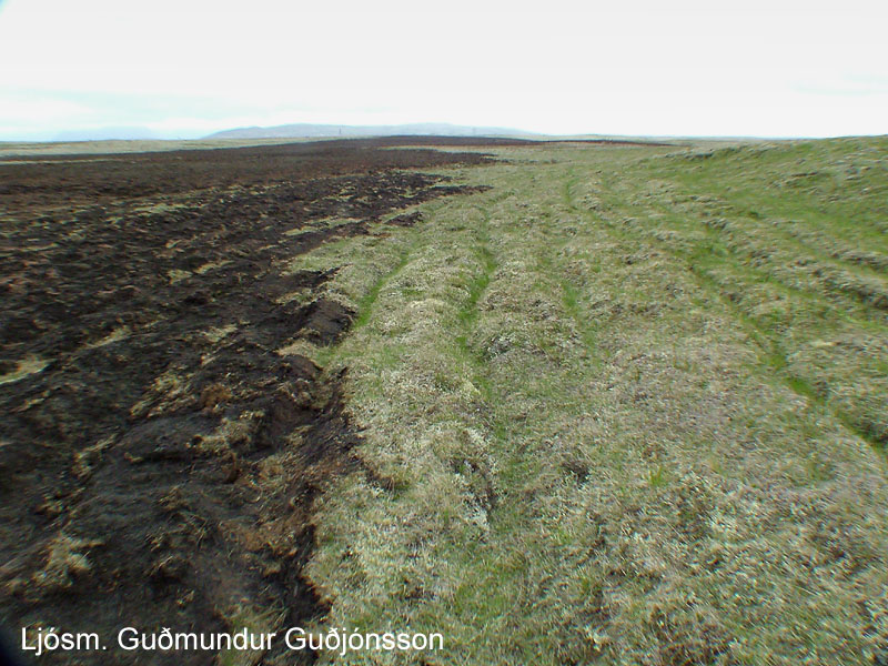 Við suðausturjaðar brunasvæðisins