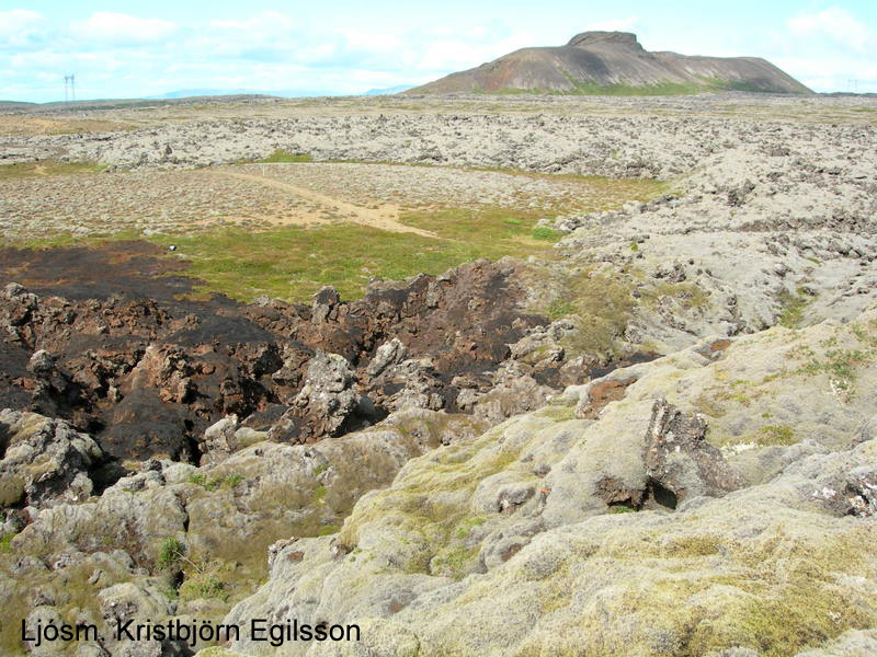 Austurjaðar brunasvæðisins