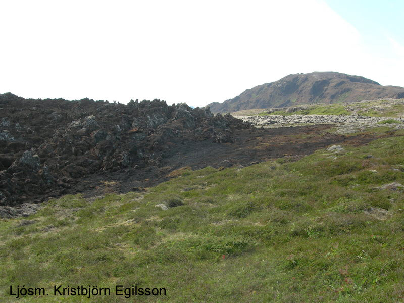 Brunnin mosaþemba á hrauninu og lynggróður við jaðar þess.