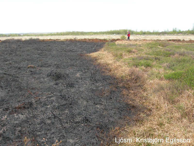 Brunasvæði í landi Jarðlangsstaða 2010