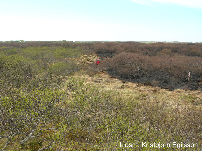 Sinubruni við Jarðlangsstaði 26. maí 2010