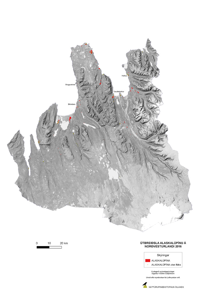 Útbreiðsla alaskalúpínu á Norðvesturlandi árið 2016