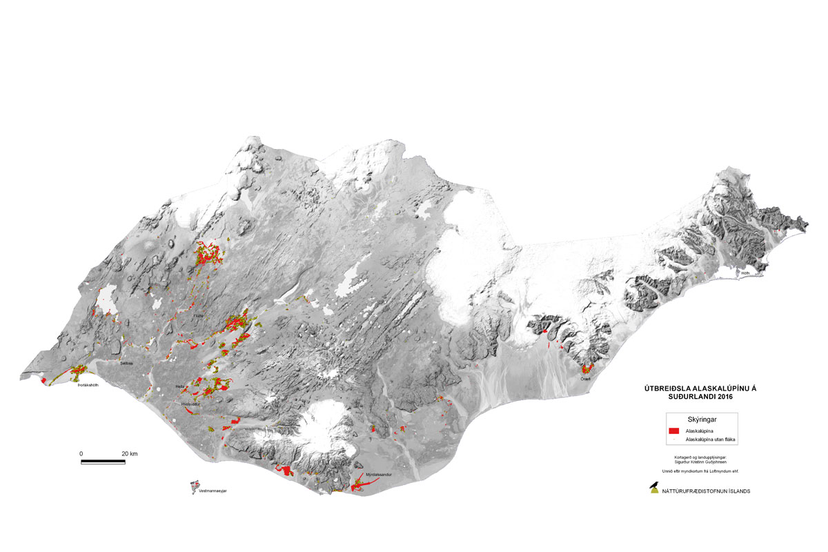 Útbreiðsla alaskalúpínu á Suður- og Suðausturlandi árið 2016