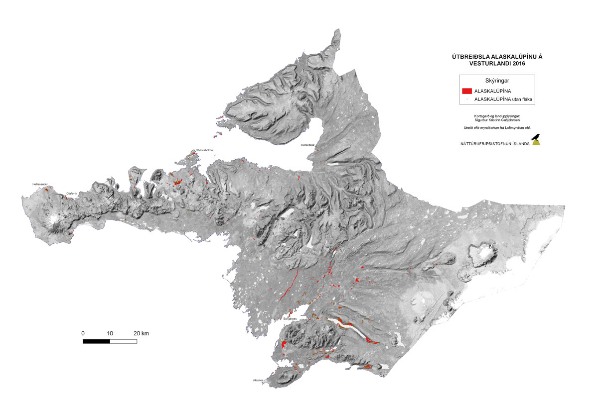 Útbreiðsla alaskalúpínu á Vesturlandi árið 2016